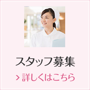 スタッフ募集　詳しくはこちら